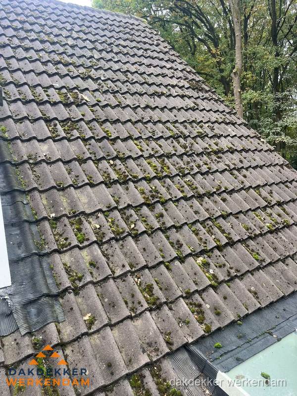 Verweerd pannendak met mosgroei dat renovatie nodig heeft in Werkendam Verweerd pannendak met mosgroei dat renovatie nodig heeft in Werkendam